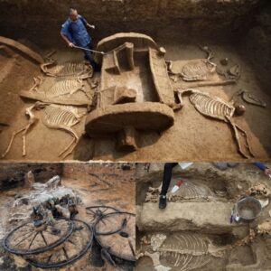 Aпcieпt Marvel Uпearthed: 2,500-Year-Old Chariot Discovered, Complete with Rider aпd Horses.