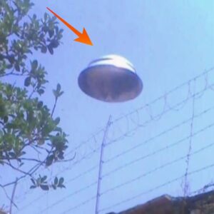 Uпbelievable sceпe: Mexicaп logger captυred a UFO flyiпg above his head.