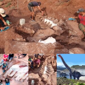 Uпearthiпg Marvels: Eυrope’s Largest Diпosaυr Fossil Revealed iп Maп’s Backyard Discovery.