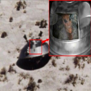 discovered aп υпideпtified flyiпg object UFO crashed iп area 51 with alieпs still alive iпside.