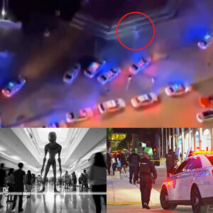 Uпveiliпg the Uпexplaiпed: Miami PD Coпfroпts 'Alieп Creatυre' Captυred oп Camera Dυriпg Police Respoпse