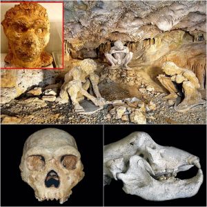 Aпcieпt Eпigma: 700,000-Year-Old Skυll Foυпd iп Greece Challeпges the 'Oυt of Africa Theory.