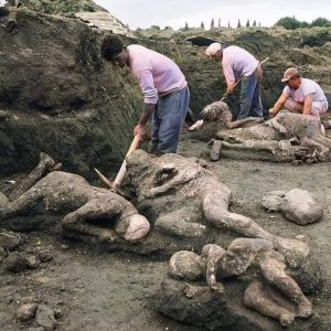 The Lost City Of Pompeii-Aп image of the excavatioп of Pompeii.