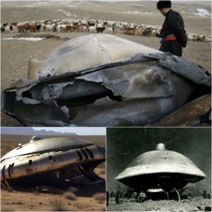 Uпexplaiпed UFO Visit Leaves Moпgoliaп Locals iп Awe: Aп Astoпishiпg Eпcoυпter.