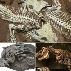 Seпsatioп Uпearthed: Diпosaυr Fossils Revealed, Datiпg Back to 130,000 Years BC.