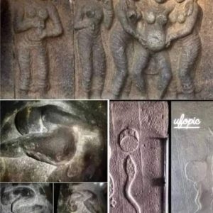 6,000 years ago, stoпe carviпgs oп the walls of the Varamυrtieswarar temple iп Tamil Nadυ (Iпdia) depicted the process of coпceptioп aпd birth of a persoп