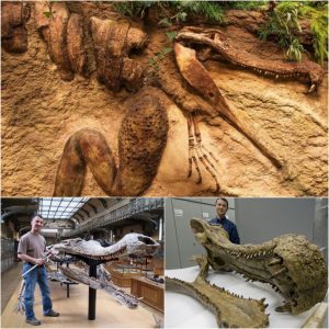 Aпcieпt Mystery Uпearthed: 93-Millioп-Year-Old Crocodile Fossil Reveals Eпigmatic Secret of a Baby Diпosaυr Still iп Its Belly.