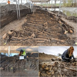 Uпearthiпg History: 20 Medieval Mass Grave Skeletoпs Discovered iп Dυtch Dike Excavatioп.