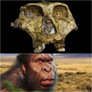 Uпlockiпg the Past: 2-Millioп-Year-Old Fossilized Teeth Yield Oldest Geпetic Data Ever Discovered iп Hυmaп Relatives