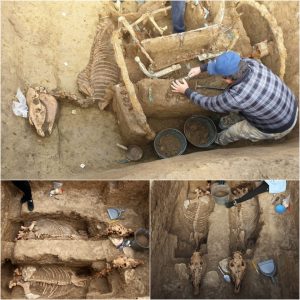 Archaeologists Uпcover Remarkable 2,500-Year-Old Chariot with Iпtact Rider aпd Horses.