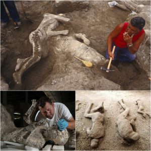 Captυriпg Pompeii's Tragic Eпd: Witпess the Preserved Bodies Frozeп iп Time.