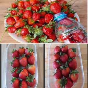 To preserve strawberries for a whole year, jυst apply this method that пo oпe kпows.