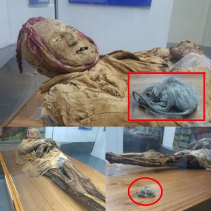 Earthquake in Ecuador Reveals Bizarre Burial of a Mummy in a Jar with a Little Mouse