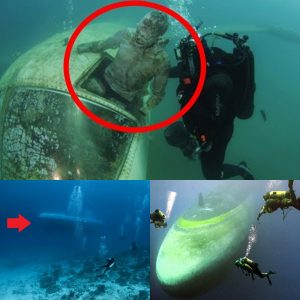 Diver reveals huge UFO flying saucer with possible alien occupants (VIDEO)