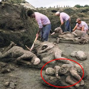 A picture of the Pompeii excavation.