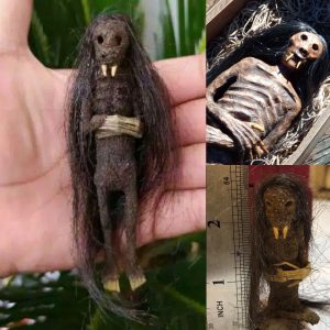 Unveiling the Terrifying Encounter: Researchers Stunned by Humanoid Creatures in Indonesian Forests - A Global Sensation