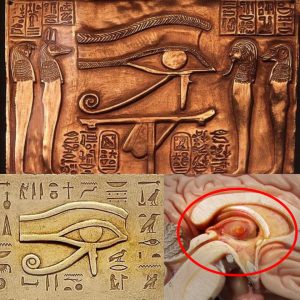 Ancient Egyptians knew this Eye of Horus : Fractions in your Brain Over 3500 Years Ago