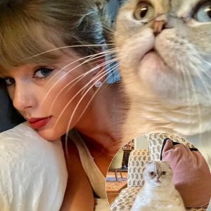 Taylor Swift’s cat Olivia Benson is the world’s third richest pet worth a staggering $97million – but she’s beaten by Instagram cat star Nala and a German Shepherd called Gunther VI from Italy