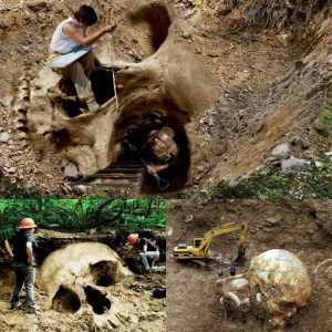 Archaeologists Have Discovered The Skeletons Of Giants And Proved That On Earth As soon as Lived Giants