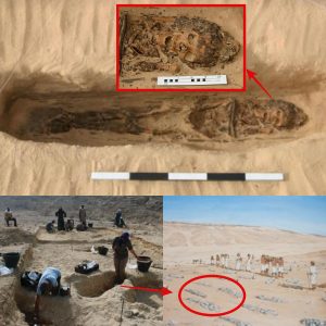 First Examples of Ancient Egyptian Head Cones Found at Amarna