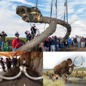 Traces of Eerly Humans Discovered on an Ancient Woolly Mammoth