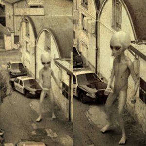 After being reported by residents, police surrounded an alien in Broad Haven, England.