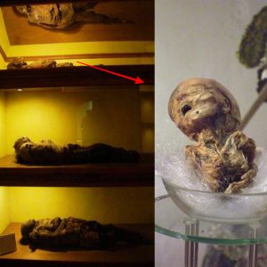 Mummies at Animas’ Museum