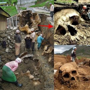 Skeletons Unearthed in an Ancient City Reveal Historical Secrets of East Africa