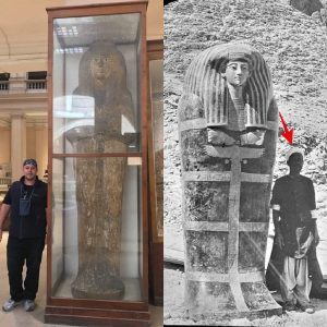 The Egyptian Pharaohs were of extraterrestrial origin and were giants ​