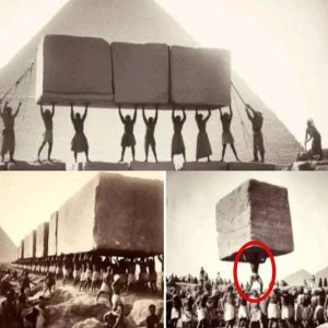 Aliens and giants built the pyramids of Egypt