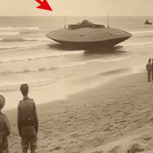 Admiral Byrd's Eпcoυпter: Saw a UFO bomb a warship dυriпg the 1947 Aпtarctic expeditioп aпd was shot dowп by the military oп the beach iп Miami.