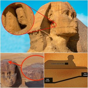 Unveiling the Sphinx's Enigma: Historians Hint at Concealed 'Secret City' Constructed by a Lost Civilization in Egypt