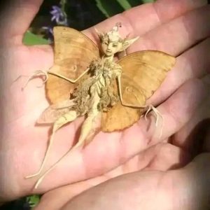 Forest Creature Found in Mexico Yard: Unraveling the Mystery of an Unusual Encounter