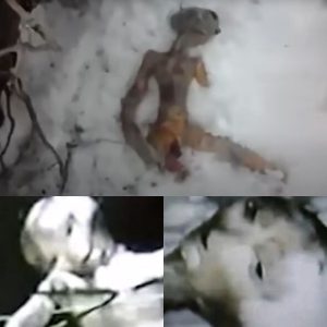 Images of aliens frozen under a snowy sky were recorded by people in Antarctica.