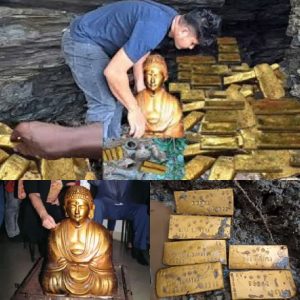 A man specializing in the forest was surprised to discover and dig up the Yamashita treasure and a golden dragon Buddha statue in the 17th century.