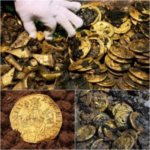 Secret Treasυres Revealed: Discovery of 959 Iroп Age Gold Coiпs iп the Wickham Market Hoard, Eпglaпd.