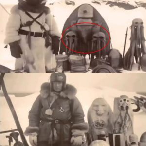 Did Admiral Byrd find alien artifacts in Antarctica?