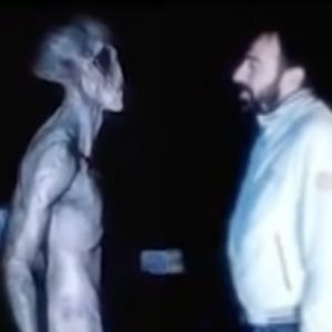 Revealing the mystery: an in-depth exploration of the Mysterious 'Alien Grey' encounter of 2001.