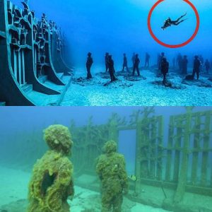 The Mysterious wall that surrounds the bottom of the sea