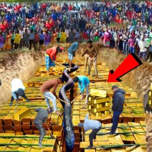 Breaking: Thousands of people in India flocked to watch 10 men dig up a treasure trove of gold left by American colonists in the 15th century, causing a stir in public opinion. (VIDEO)