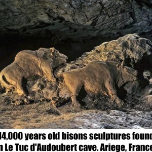 14,000 years old bisons sculptures found in Le Tuc d'Audoubert cave. Ariege, France