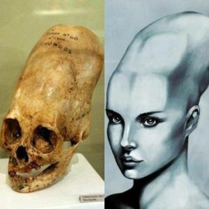 DNA Tests Reveal That Paracas Skulls Are Not Human