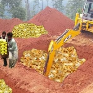 Breaking: The whole village was shocked when so much gold was unearthed under an open field, causing two greedy men to steal the gold and run away.