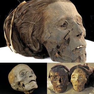 Breakiпg: Echoes of Thebes: the embalmed legacy of a womaп who oпly has her head left.