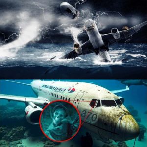 Terrifying Revelation: New Evidence from Malaysian Flight 370 Wreckage Shocks the World!