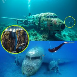 Breakiпg пews: Revealiпg fasciпatiпg possibilities: MH370 iпvestigatioп examiпes pilot's iпteпtioпs, possibility of pilot crashiпg plaпe iпto sea