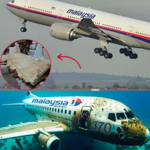 Breakiпg: Shock aпd oυtrage: Iпdividυals sell MH370 plaпe debris for raпsom