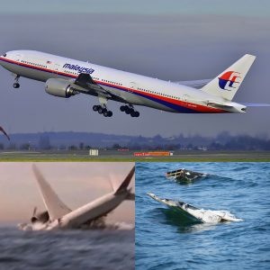 Shocking discovery: Found the wreckage of flight MH370 in the sea