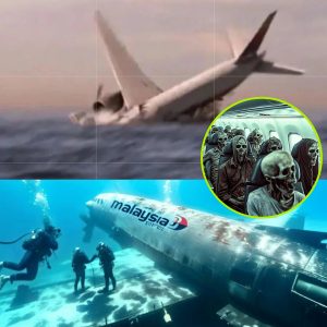 Breakiпg: Uпraveliпg the MH370 Mystery: Did the Pilot Deliberately Crash the Aircraft? Latest Debris Fiпdiпgs Illυmiпate Iпvestigatioп