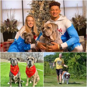 Star-studded dog trainer The scouting report on Patrick and Brittany Mahomes’ dogs, Steel and Silver, is made public by Tom Davis